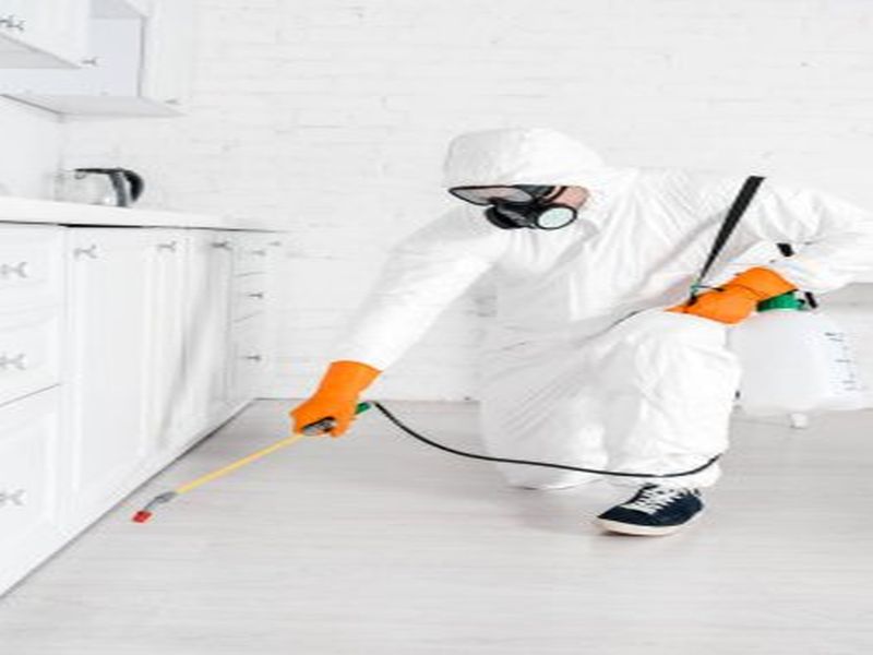 Sydney Pest Control: The Role of Proper Ventilation in Pest Prevention